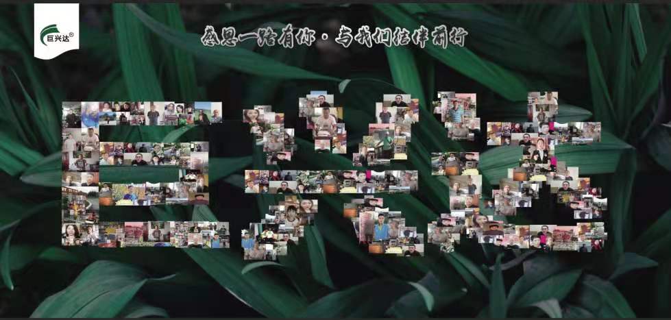 巨興達